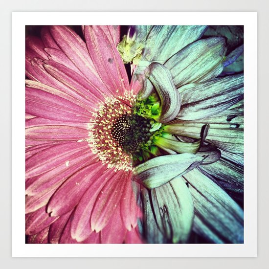 Life And Death Art Print