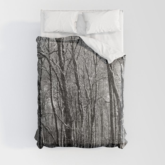 Snow Laden Birch Trees in Black and White Comforter