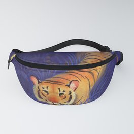Stealth Fanny Pack