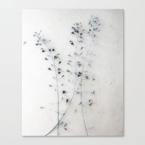 Straw I Canvas Print