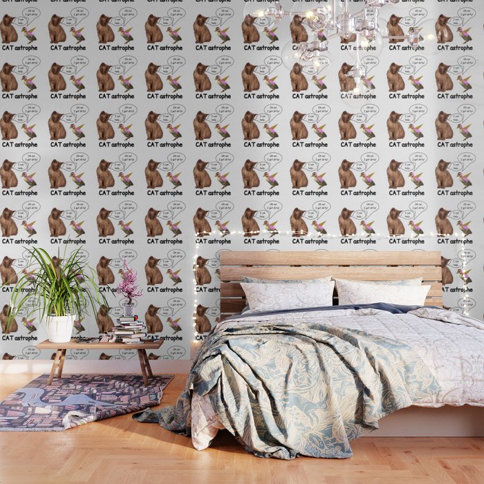 funny cat Wallpaper