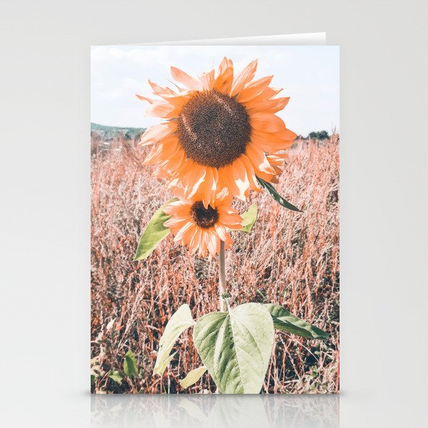VIntage sunflower field Stationery Cards