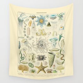 Oceanographie II Vintage Illustration by Adolphe Millot Seashell Starfish Jellyfish Coral Reef Surf Wall Tapestry | Guys Apartment Home, Girls Dorm Aesthetic, Minimal And Abstract, Sea Creature Surf, Cute Bohemian Boho, Exhibition Of Museum, Nature Underwater, Dark Light Creatures, 60S Science Chart, College Room Decor 