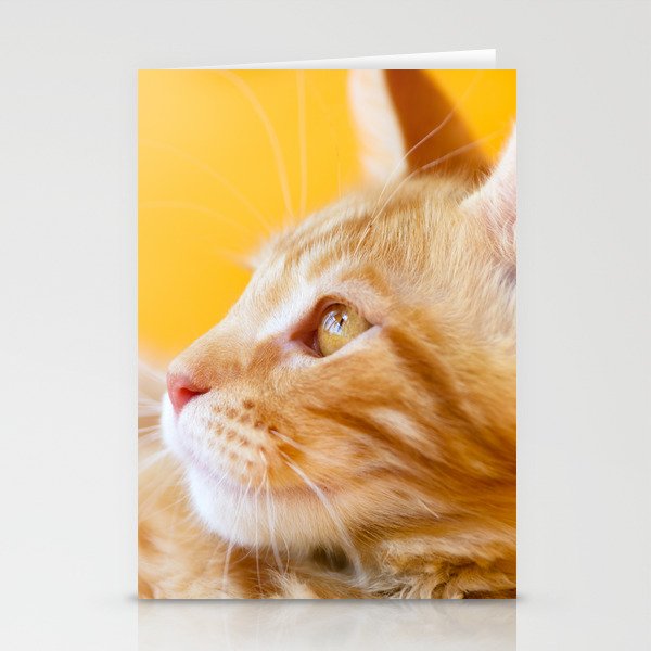 Red White Tabby Maine Coon Cat Stationery Cards By Skleznev Society6