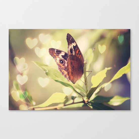 Butterfly Kisses Canvas Print