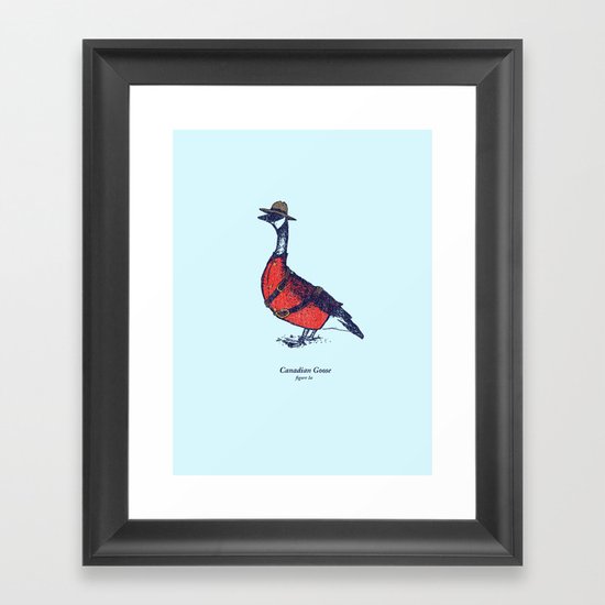 Canadian Goose Framed Art Print