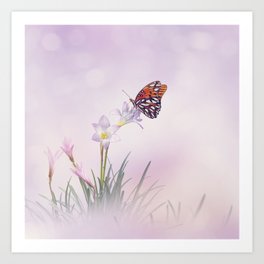 Pink rain Lily (Zephyranthes rosea) Flowers and butterfly in the garden Art Print | Floral, Pink, Zephyranthesrosea, Nature, Card, Purple, Outdoor, Butterfly, Flora, Lily 