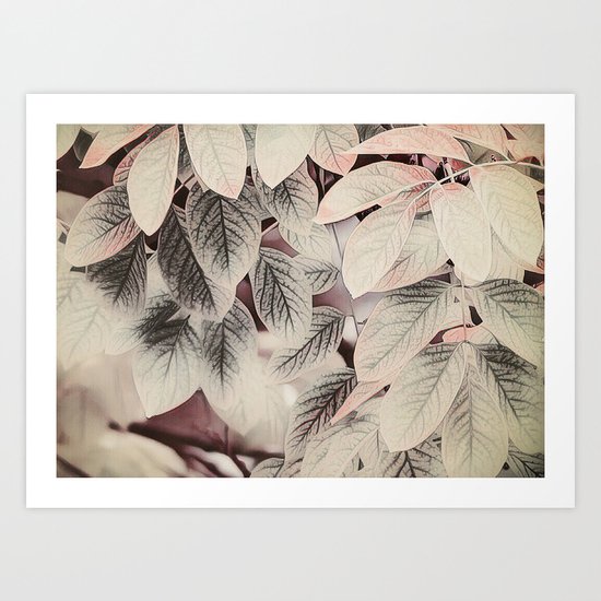 Touches of Pink Art Print