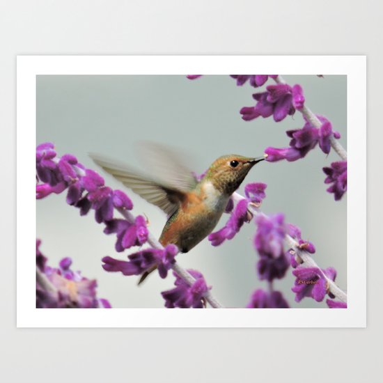 Slipping in for Another Sip Art Print
