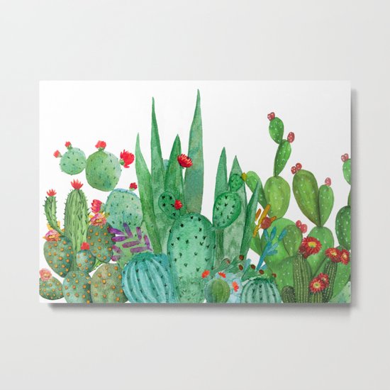 Cactus 12a Metal Print