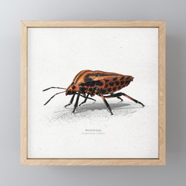 Minstrel (striped) bug art print Framed Mini Art Print