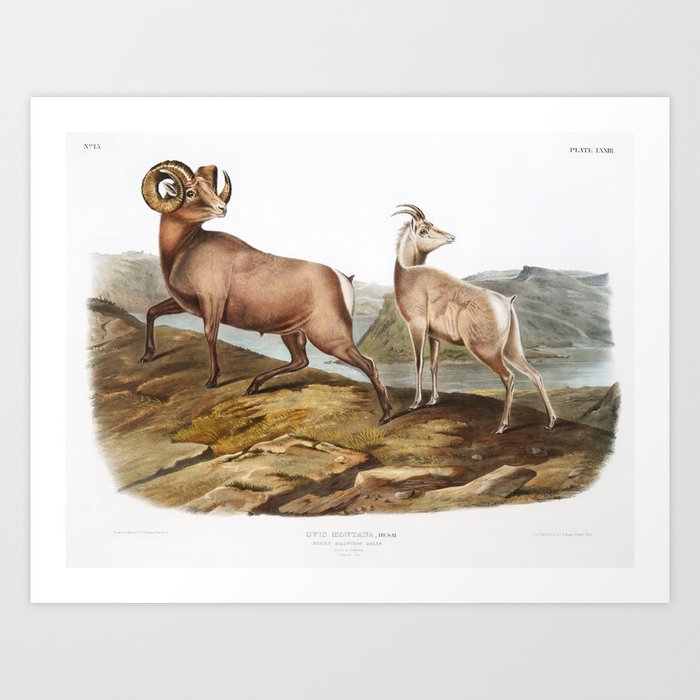 Art Print