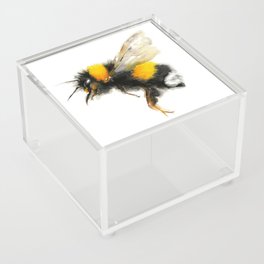 Yellow Bumble Bee Acrylic Box
