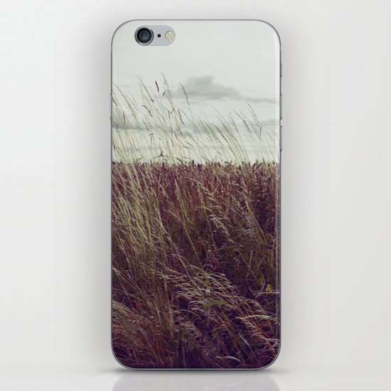 Autumn Field II iPhone & iPod Skin
