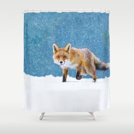 Fox in winter. Red fox, Vulpes vulpes, sniffs about prey on forest meadow in snowfall. Orange fur coat animal hunting in snow. Fox in winter nature. Wildlife scene. Habitat Europe, Asia, North America Shower Curtain