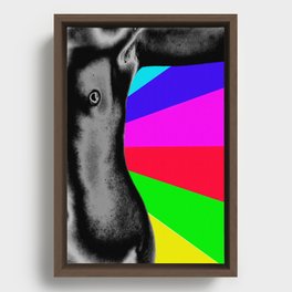 Body with Rainbow Framed Canvas