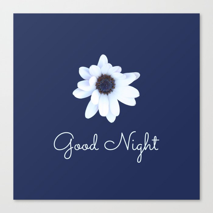 good night sleepy african daisy flower canvas print by annaki