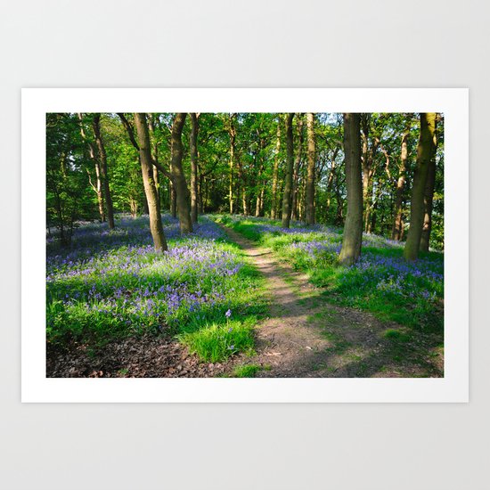 Bluebell Woods Art Print