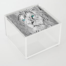 Silver Lion Acrylic Box