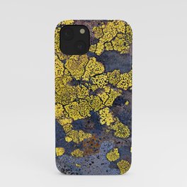 Lichen Abstract iPhone Case