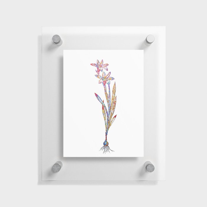 Floral Ixia Liliago Mosaic on White Floating Acrylic Print
