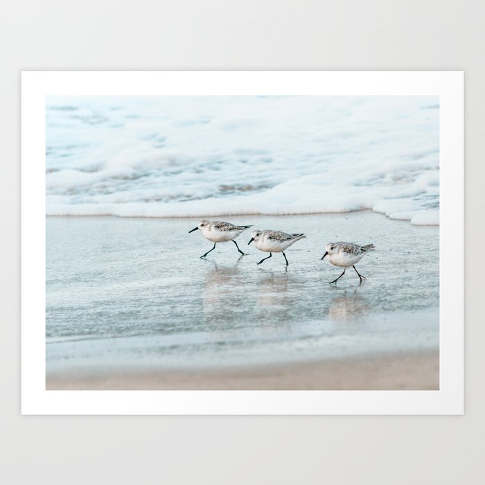 Three Little Beach Birds Art Print