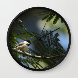 Roosting Black Capped Chickadee Wall Clock