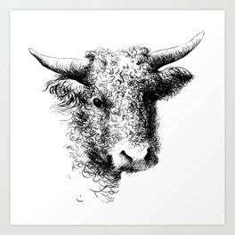 Hand drawn bull, cow, bison, bufalo head portrait   Art Print | Blackandwhite, Ink Pen, Livestock, Bison, Bullhead, Calf, Sketch, Cattle, Portrait, Mammal 