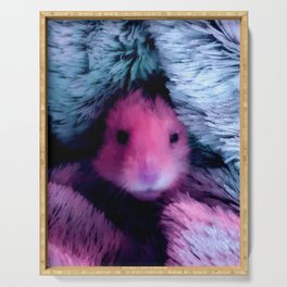 Hamster in pink and blue Serving Tray