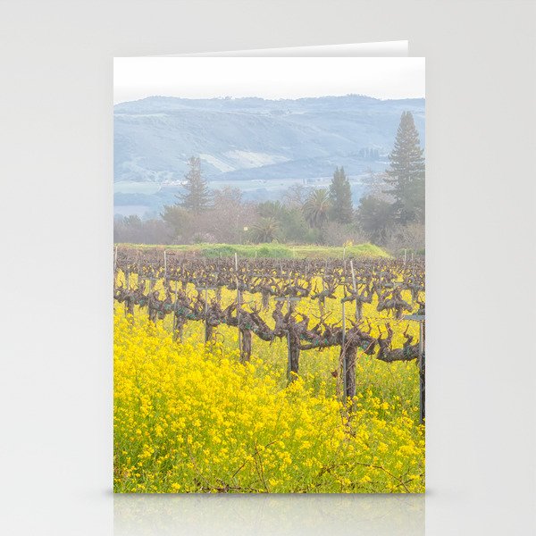 Wildflowers and Fog Stationery Cards