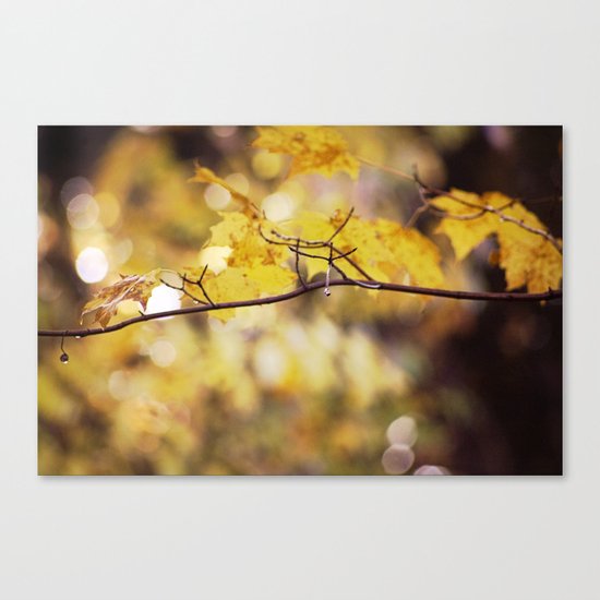 Amber Droplets Canvas Print