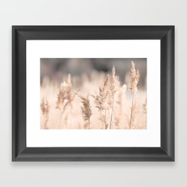 Neutral Tone Pampas Grass, Reed Framed Art Print