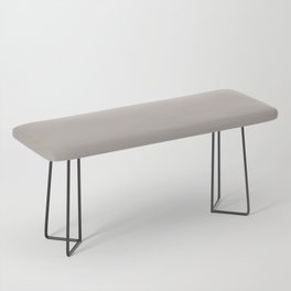 Soft Light Dusty Gray - Grey Solid Color Pairs PPG City Street PPG1018-3 - All One Single Colour Bench
