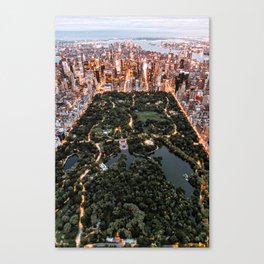Central Park New York Canvas Print