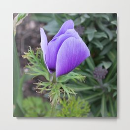 Purple Bloom Metal Print | Flower, Electricpurple, Digital, Bloom, Purple, Photo, Green, Color 