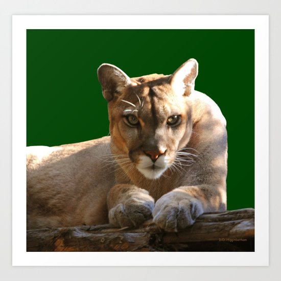 Intensity Art Print
