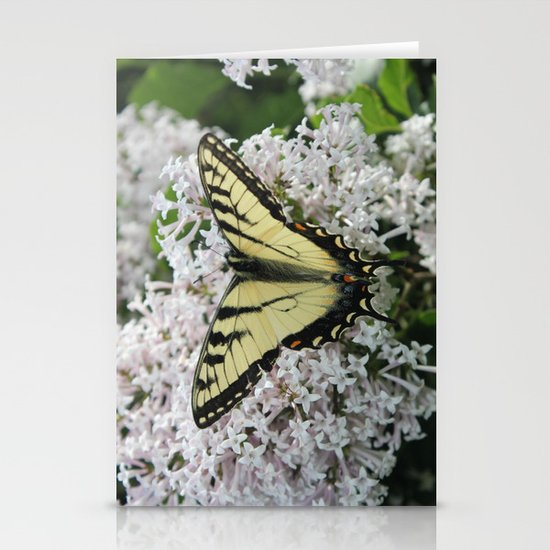 Butterfly Delight Stationery Cards