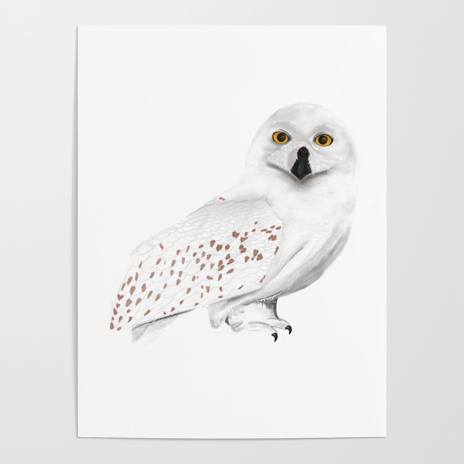 Harry Potter S Hedwig Owl Poster By Osmansargin Society6