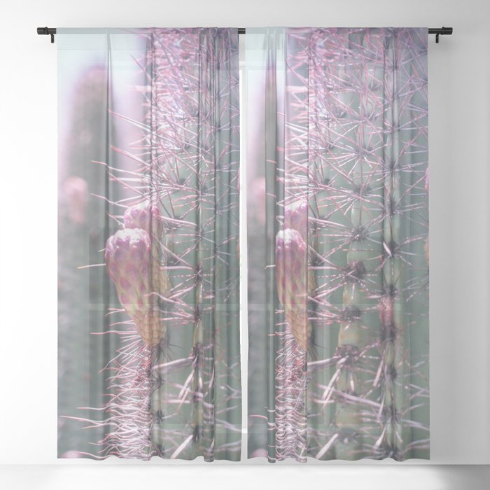 Prickly in Pink II Sheer Curtain