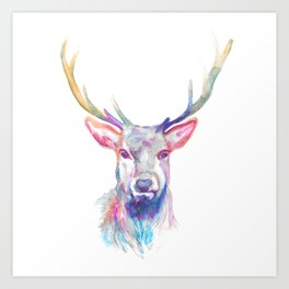 Beautiful Stag Deer Watercolour Painting Deer Wildlife Art