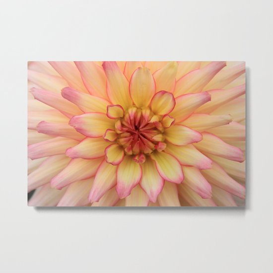 Dahlia - JUSTART © Metal Print
