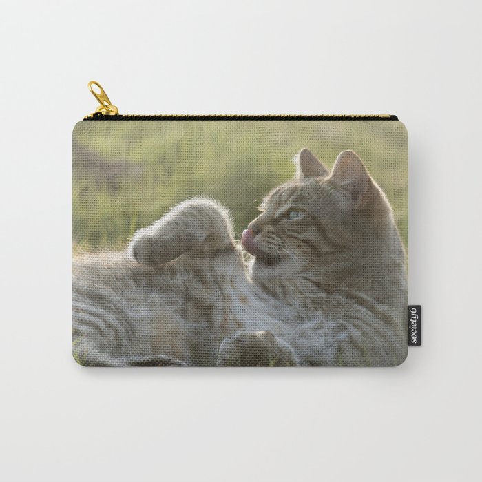 Tabby cat Carry-All Pouch