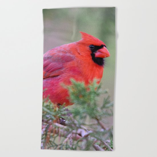 Spring Cardinal Beach Towel