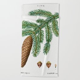Norway spruce, Abies vulgaris from Traité des Arbres et Arbustes que l’on cultive en France en pleine terre (1801–1819)  Beach Towel