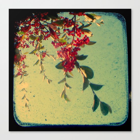 Good Morning - Through The Viewfinder (TTV) Canvas Print