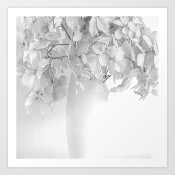 Hydrangea Still Life in Black and White #decor #society6 #buyart Art Print