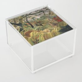 Tiger in a Tropical Storm Acrylic Box