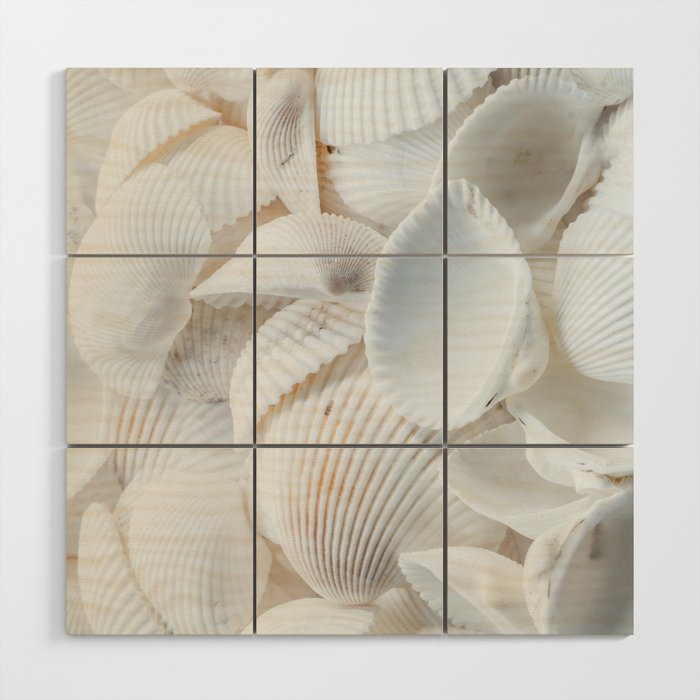 Seashells Wood Wall Art