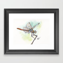 Dragonfly Framed Art Print