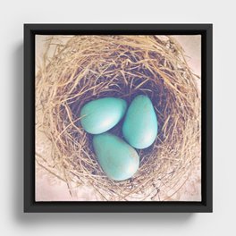 Blue Eggs Framed Canvas